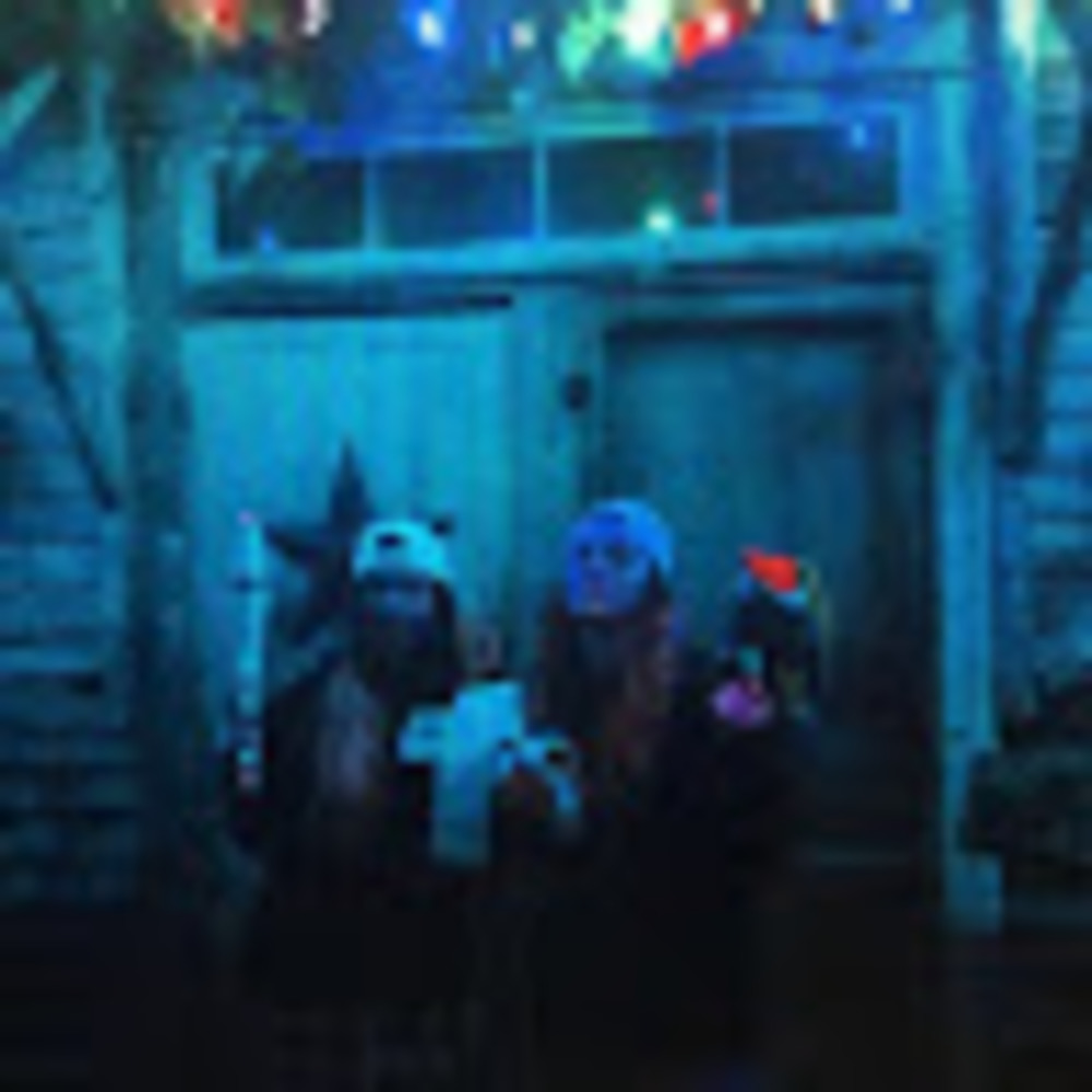 Meet your Posher, Korey